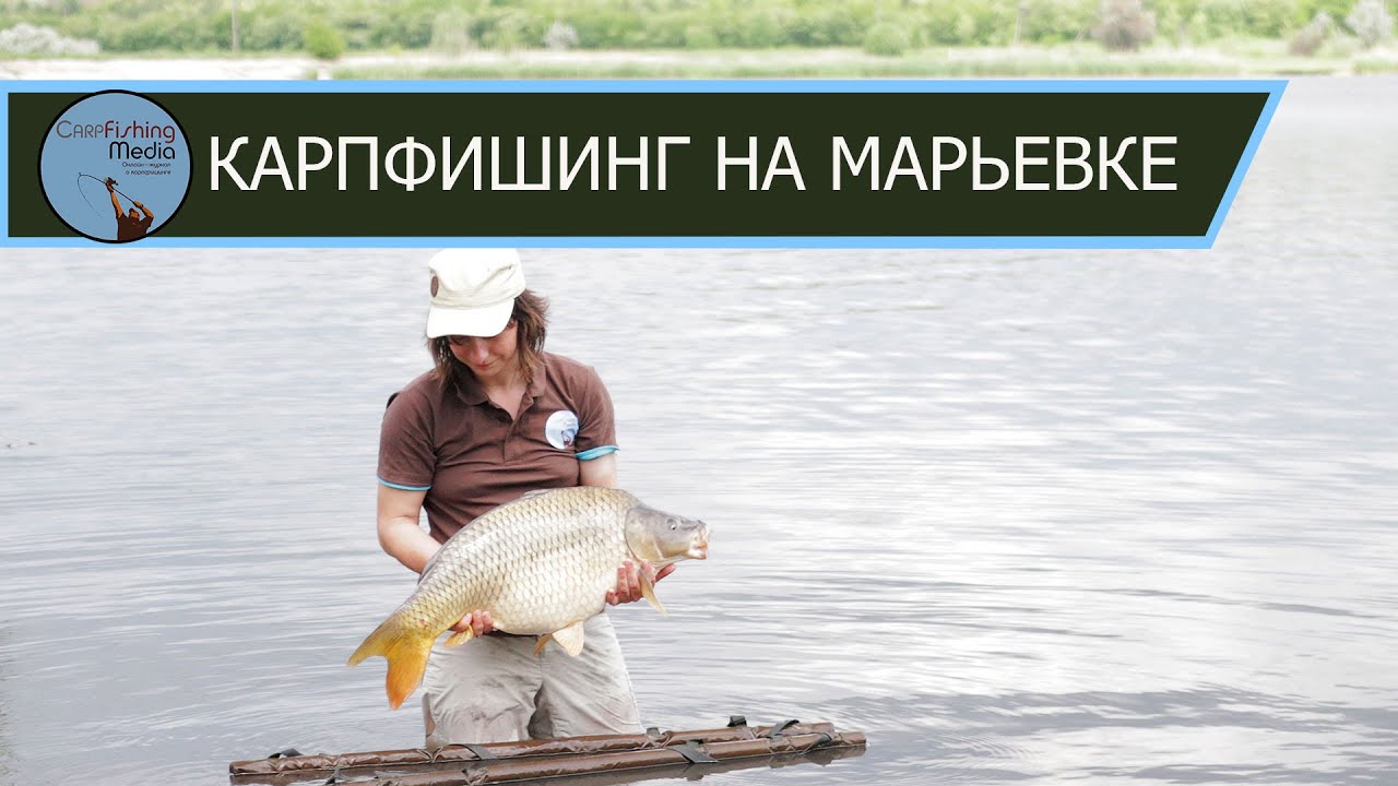 Карпфишинг на Марьевке. Май 2016.