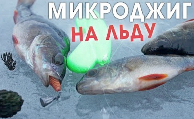 Ловля окуня микроджигом со льда