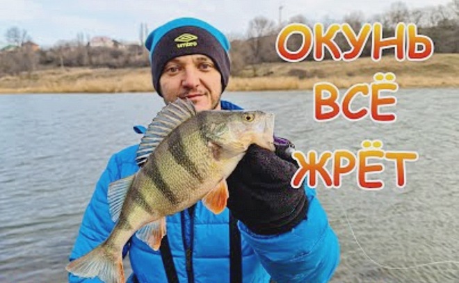 Река, джиг и мощные поклёвки полосатых