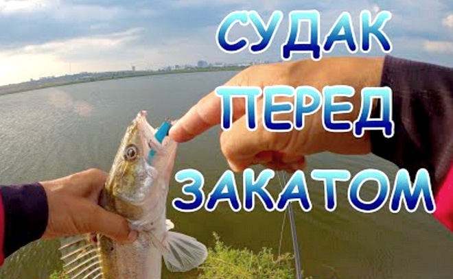 Поиск судака на джиг перед закатом
