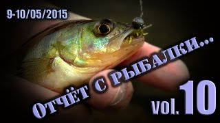 Ловля окуня на микроджиг. Видео.