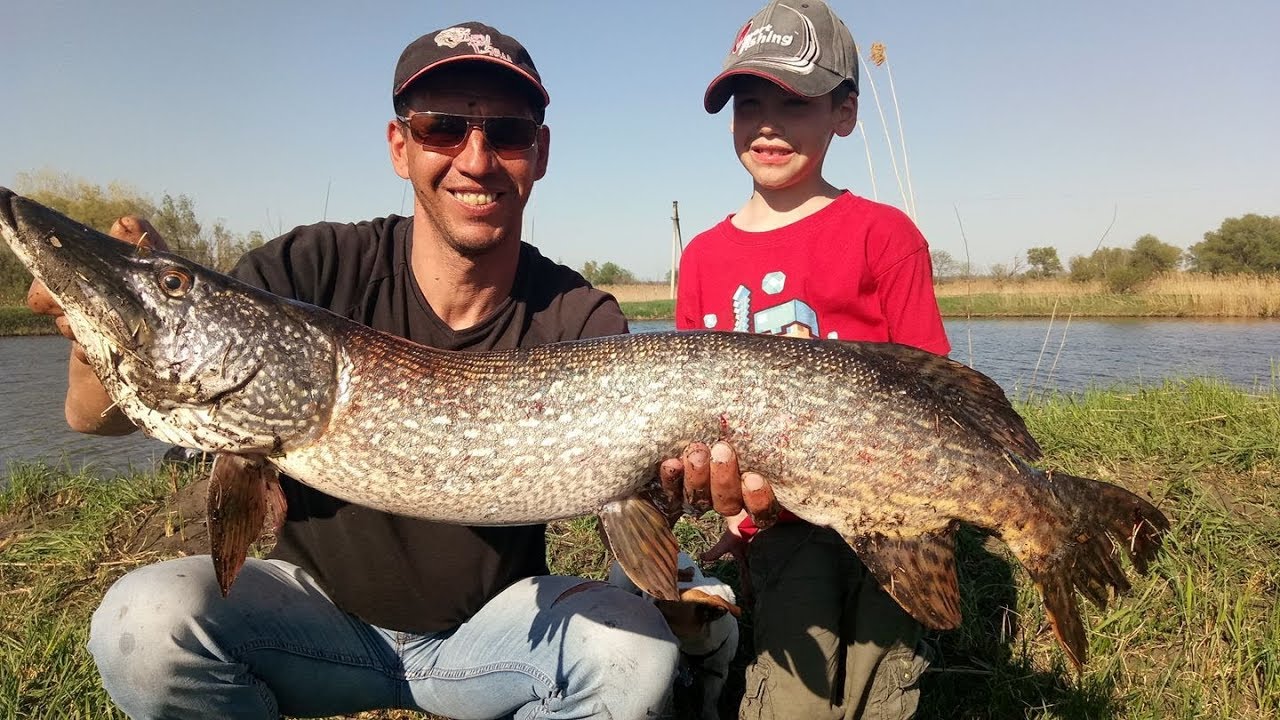 Знакомство с новым водоёмом