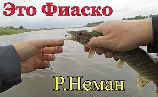 Неман. Разведка боем! Рыбалка в Калининграде.