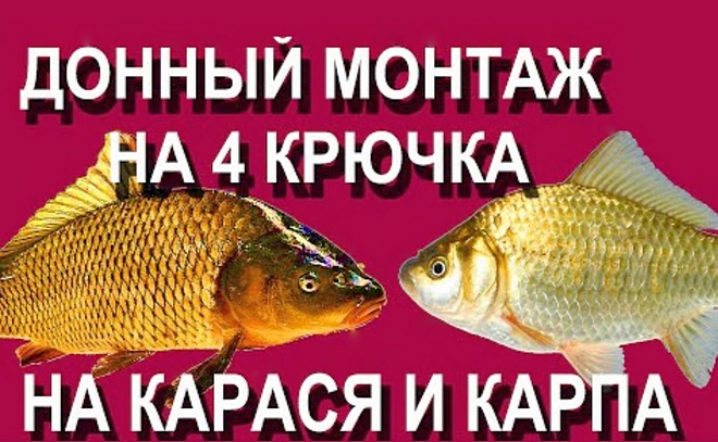 Донный монтаж на карася и карпа на четыре крючка с кормушкой