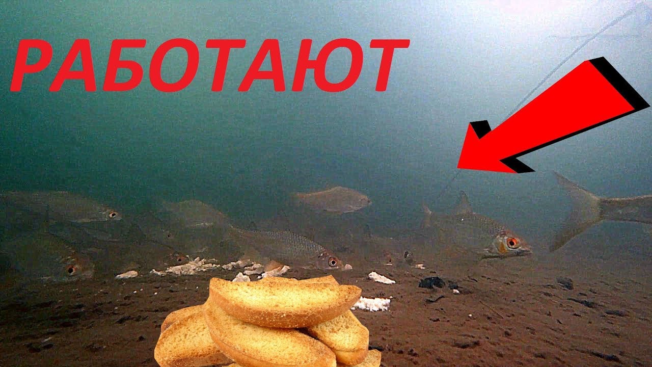 Сухари с секретом творят чудеса!