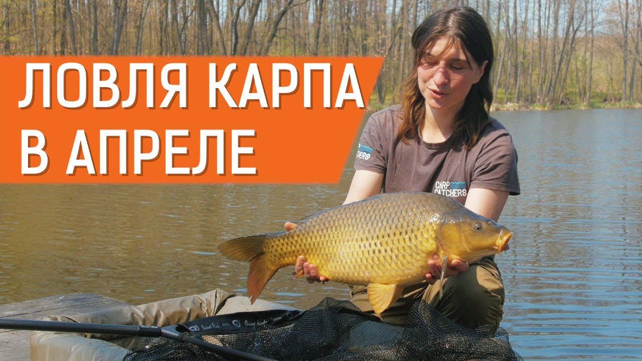 Рыбалка на карпа: весенний «Адреналин»