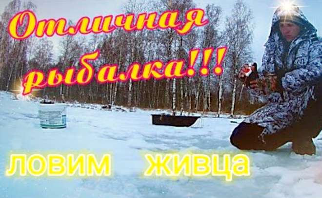 Отличная рыбалка! С подводной камерой ловим живца.