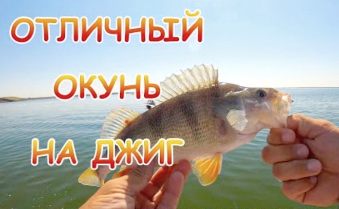 Поиск окуня на Весёловском водохранилище. Джиг с лодки.