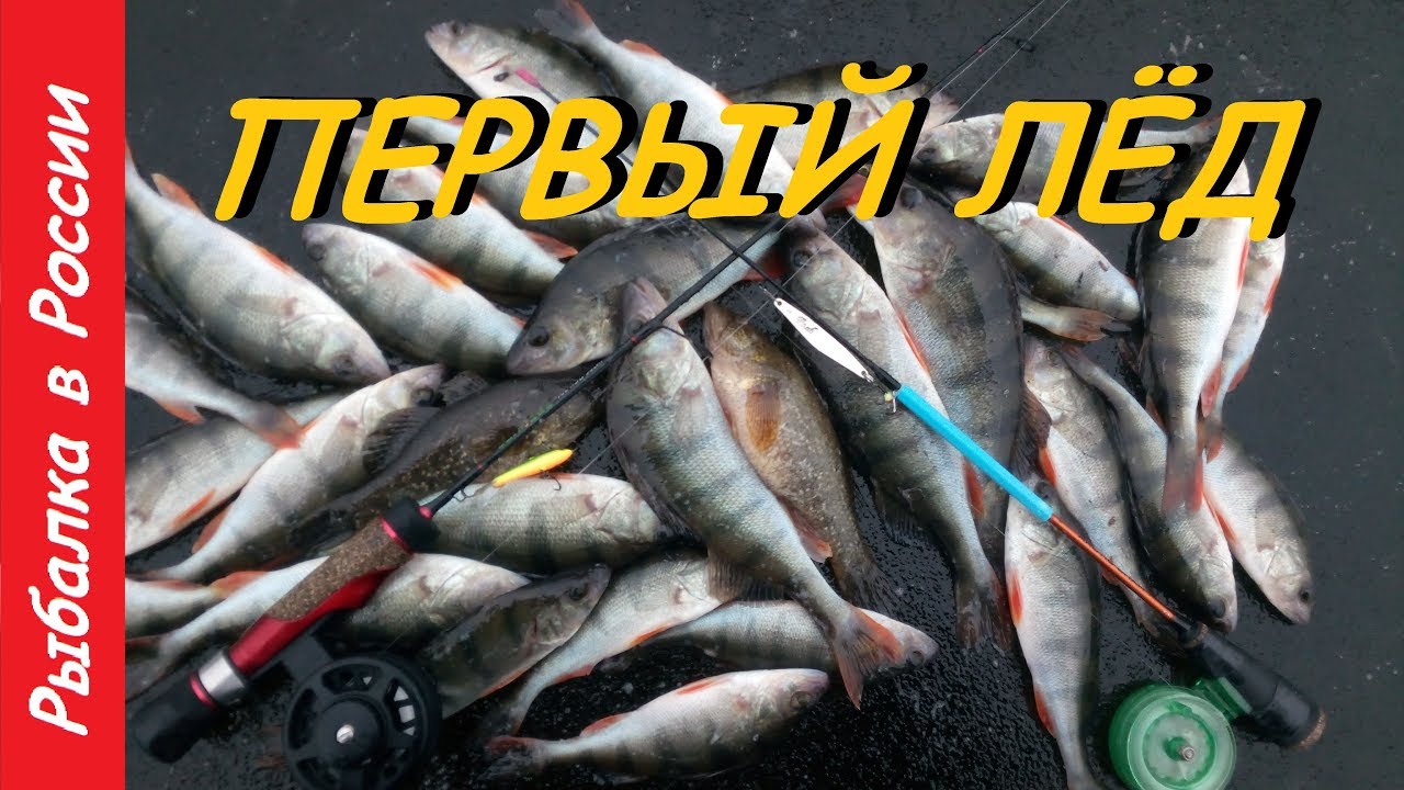 Первый лёд. Ловля окуня по первому льду.
