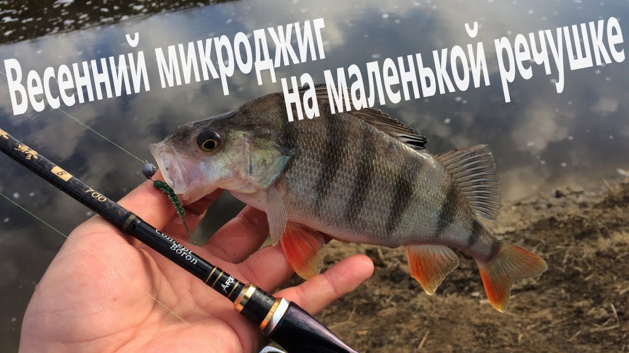 Утренний микроджиг на маленькой речушке