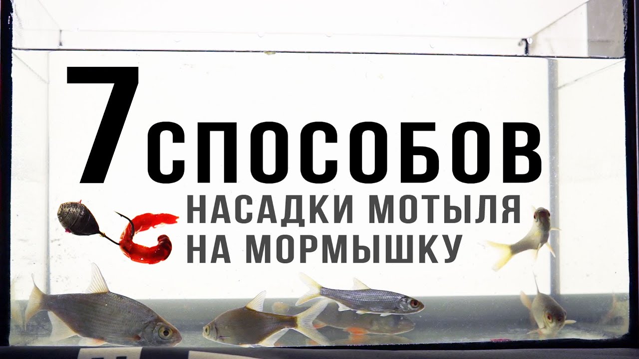 Как насадить мотыля на мормышку