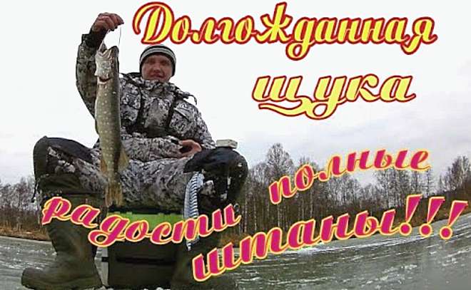 Куча поклёвок! И вот она!