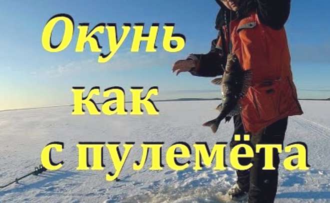 Ловля окуня зимой на блесну.  Жерлицы на щуку и налима