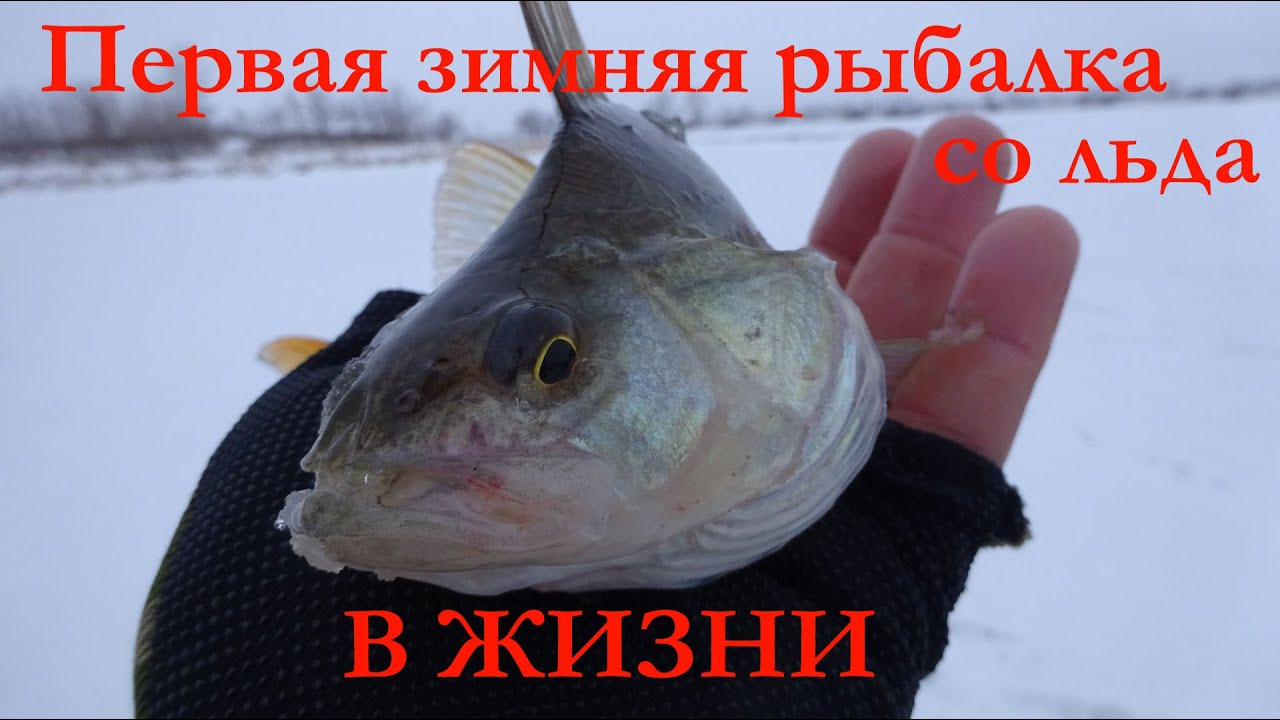 Первая рыбалка со льда в жизни