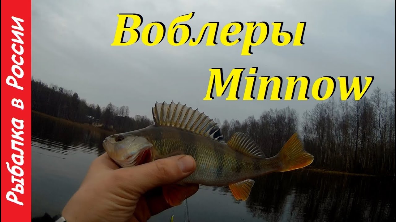 Воблеры с Алиэкспресс. Воблеры minnow. сетки 18 +