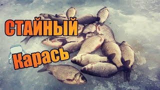 Крупный карась весной. Готовим карася на костре.