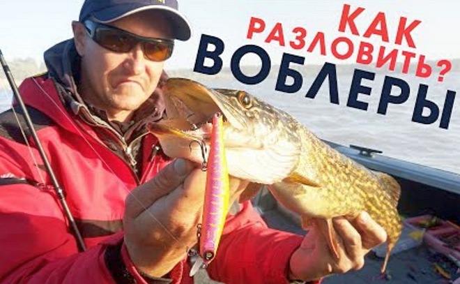 Как разловить новые воблеры на щуку?