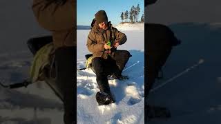 В феврале за окунем&nbsp; часть2