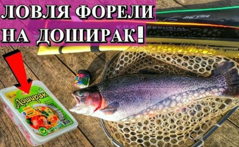 Ловля форели на «Доширак». Убойная приманка на форель!