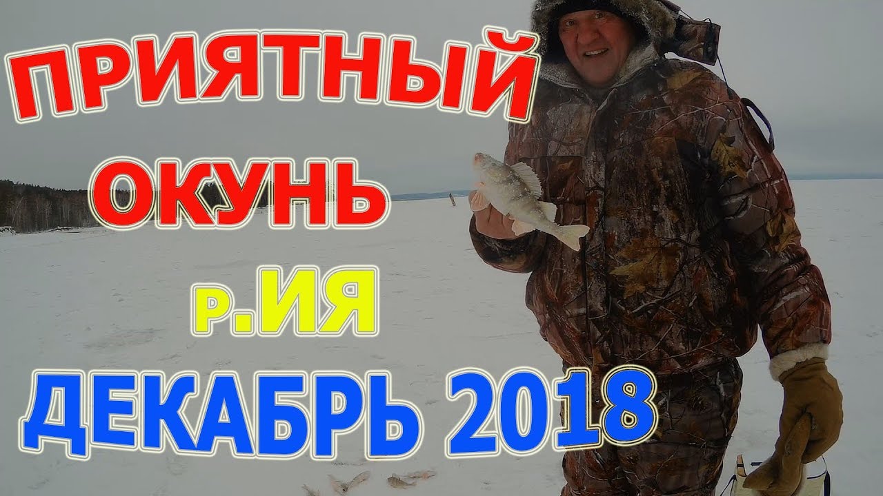 Ловля приятного окуня