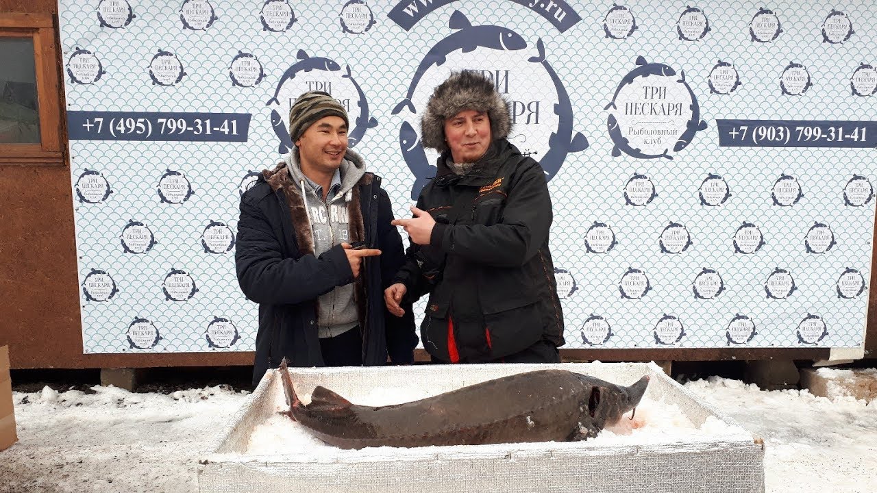 Открытие зимнего сезона на платнике «Три пескаря»