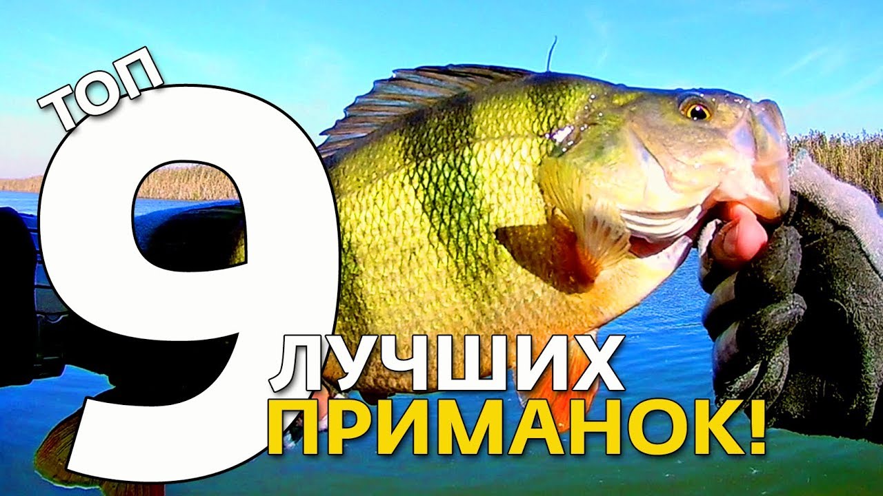 Топ-9 силиконовых приманок 2019 года