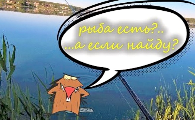 Вот это поворот! Утренний стритфишинг. Ловлю окуня на мормышку.