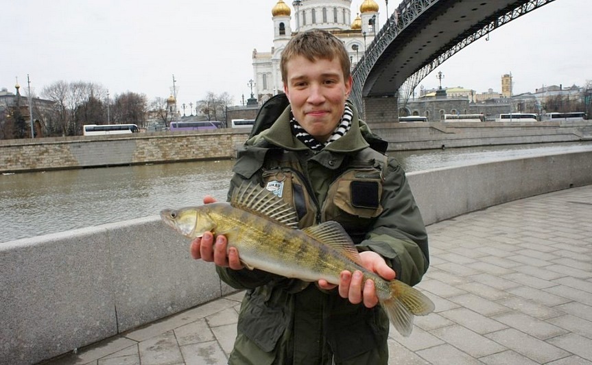 Рыбалка в городских джунглях
