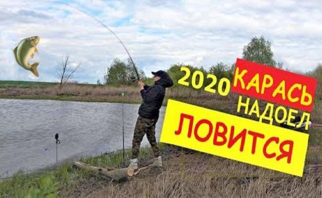 Как жена уделала мужа на рыбалке. Карась прёт!