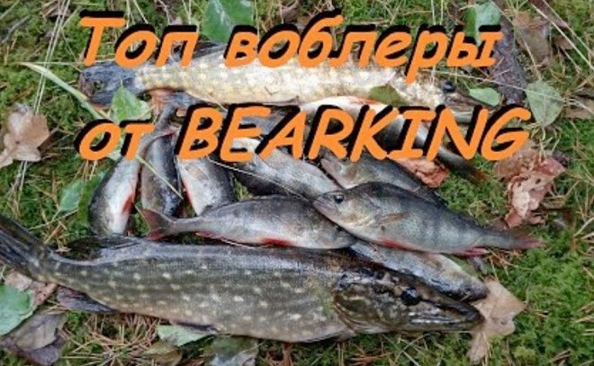 Топ-воблер от Bearking. Ловля щуки и окуня по лопухам.