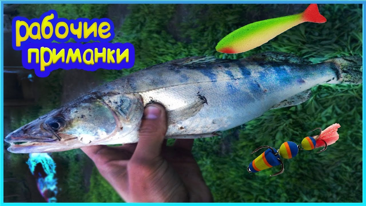 Ловля судака на спиннинг. Приманки, которые ловят!