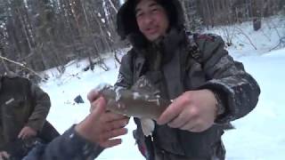 Рыбалка на таежной речке