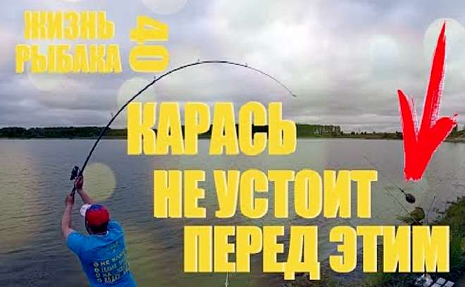 Как и на что ловить карася в любое время года
