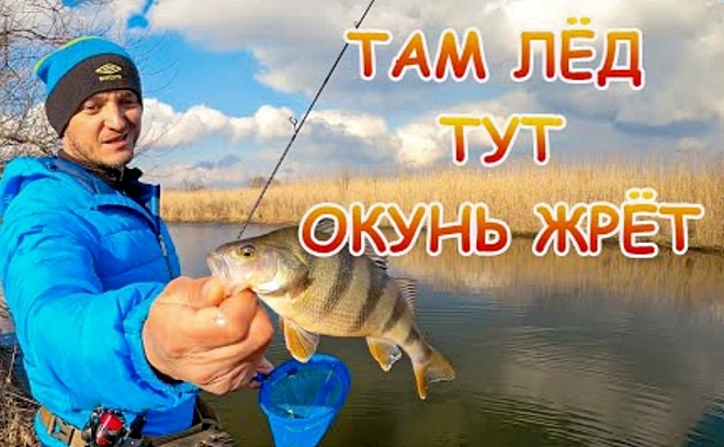 Там лёд, тут лёд! А окунь на микроджиг приманки жрёт!
