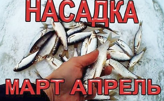 Мало кто ловит рыбу на эту насадку...
