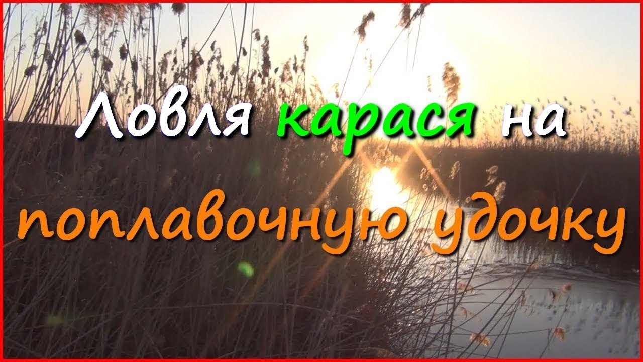 Ловля карася и сазана весной в Краснодарском крае&nbsp; часть7