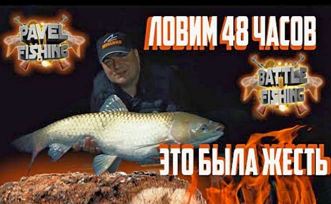 Рыбалка на карпа. Это был треш! Ловим днем и ночью.