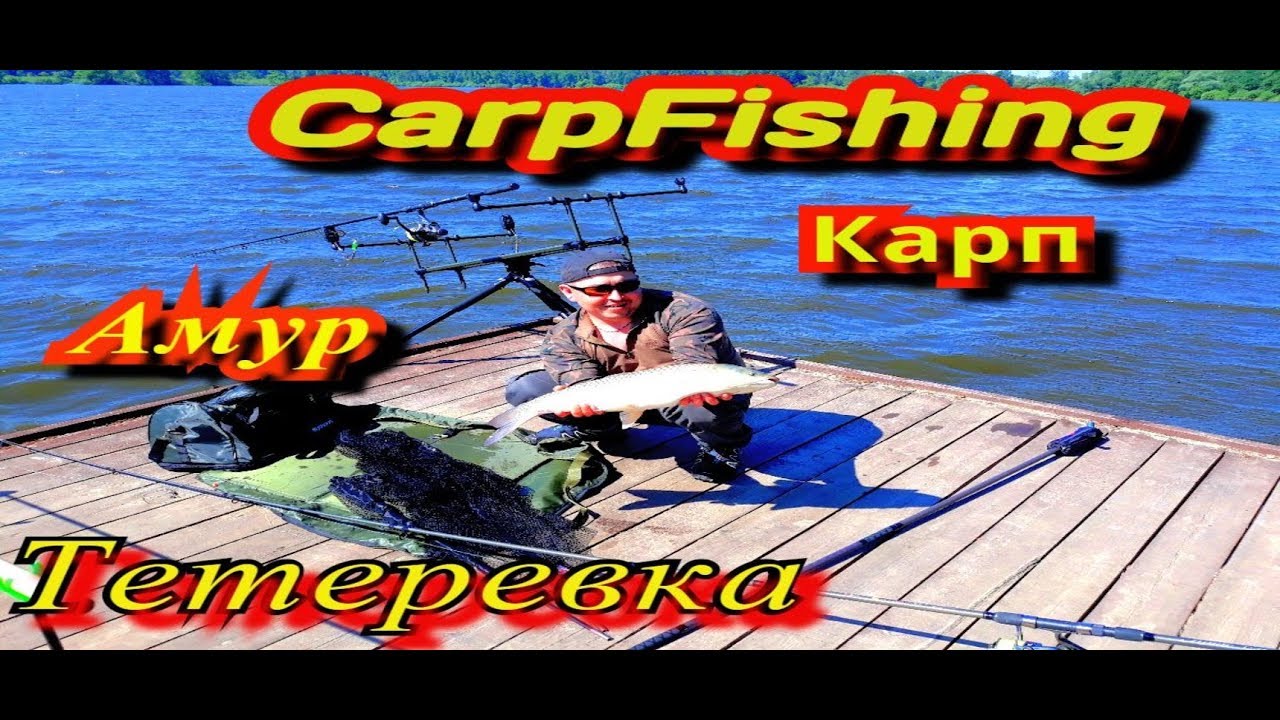 Карпфишинг. Научился ловить - научись отпускать!