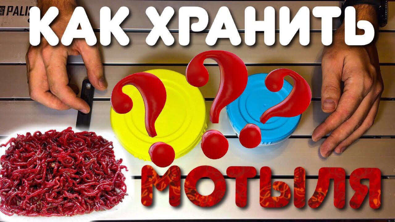Как я решил хранить мотыля для рыбалки