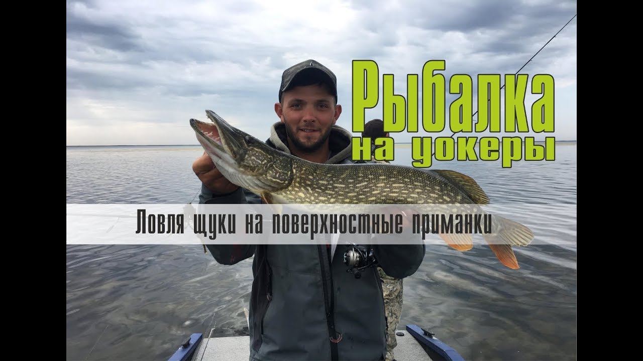 Ловля щуки на уокеры