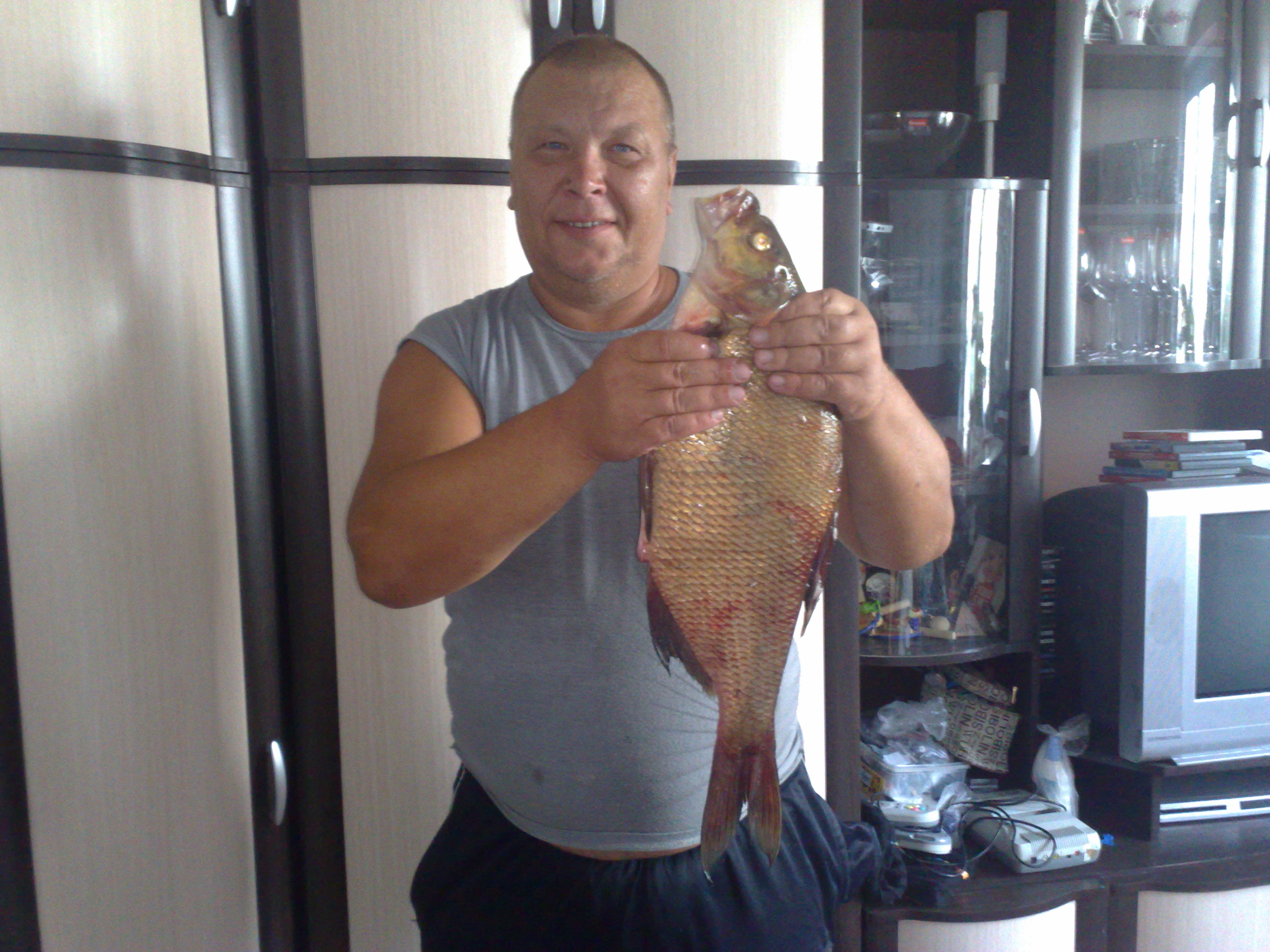 corokin44