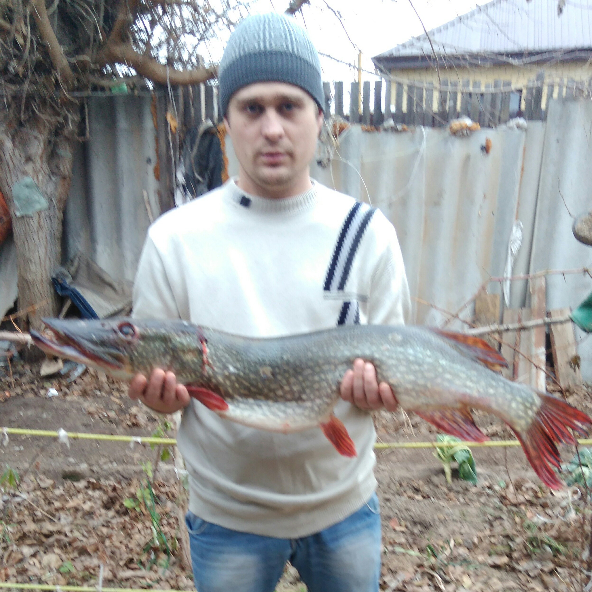 semenpaskov