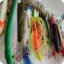 seefish