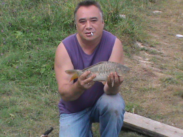 ALEKSEI 71