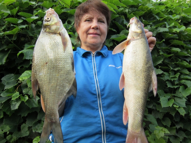 Екатерина