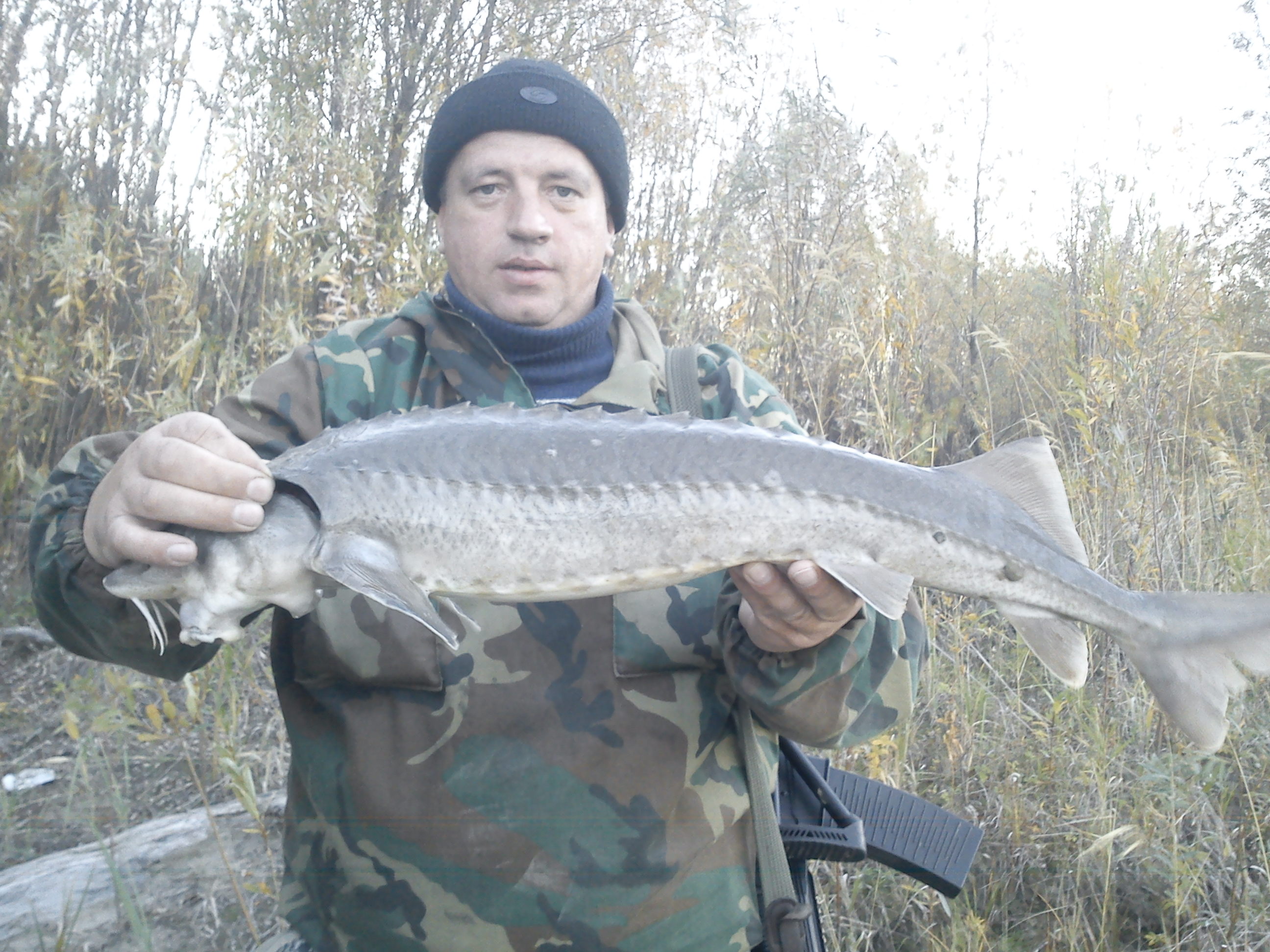 Ромка