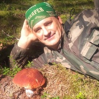 alisckander