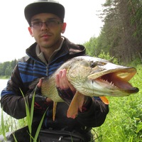 konstantin_galki