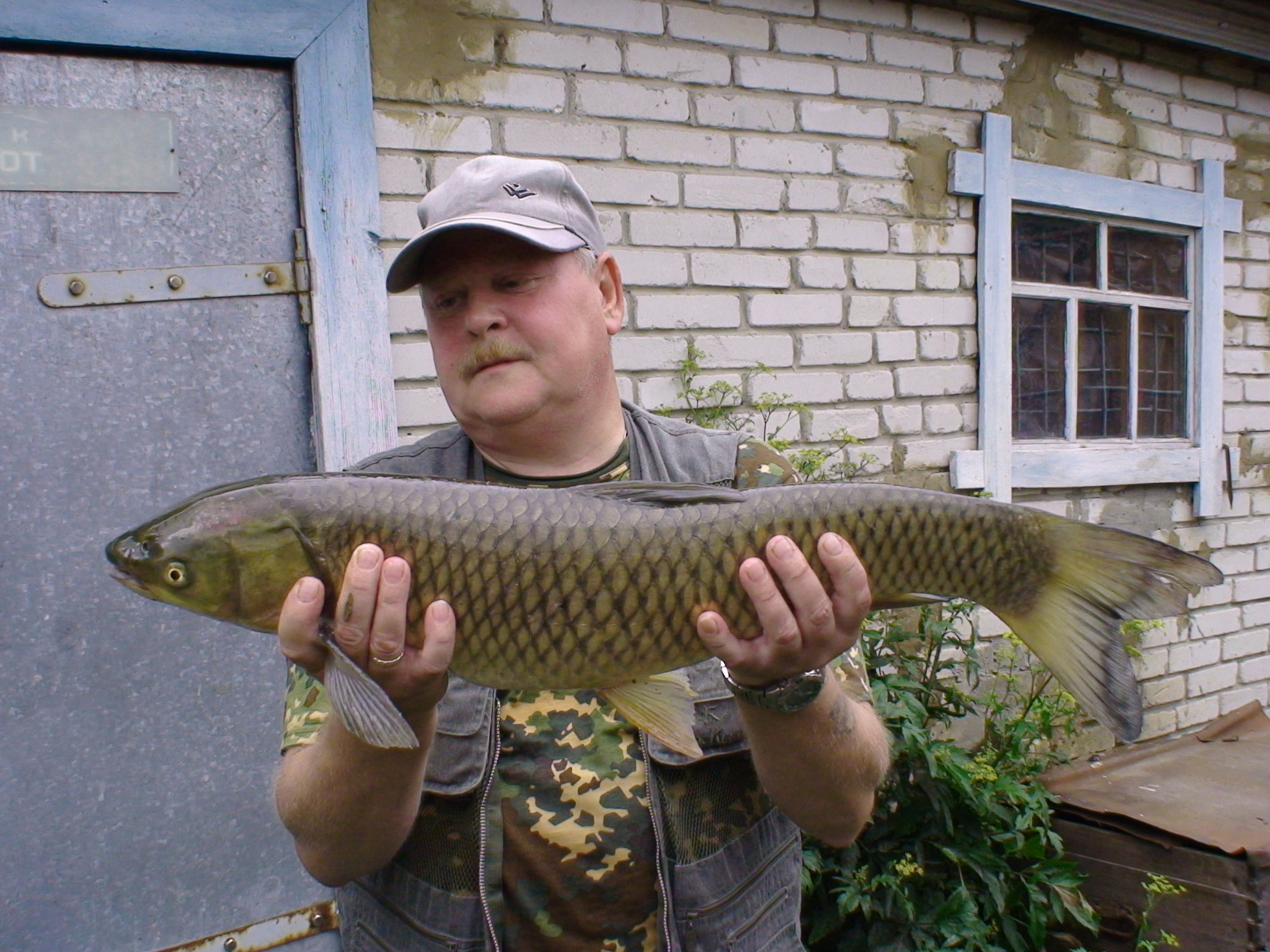 losinka63