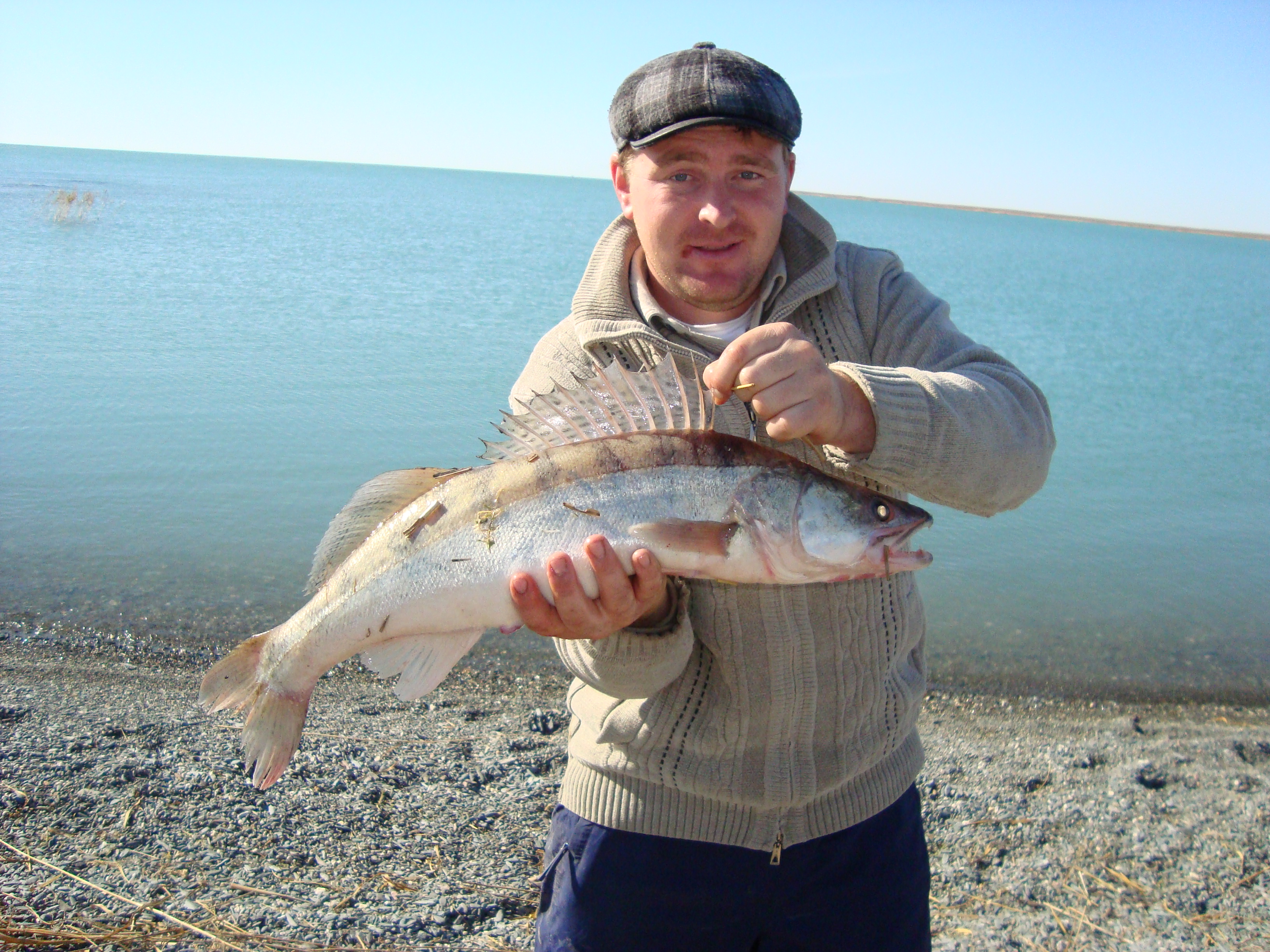 svoibratuha